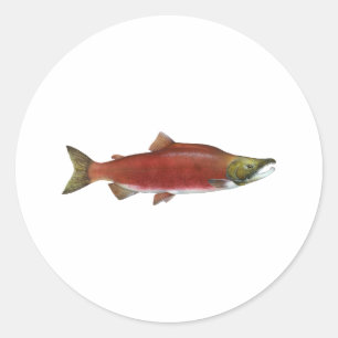 Sockeye Lachs Runder Aufkleber