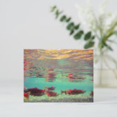 Sockeye Lachs Unterwasser Postkarte (Stehend Vorderseite)