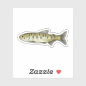 Sockeye Lmon Parr Aufkleber (Blatt)
