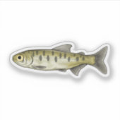 Sockeye Lmon Parr Aufkleber (Vorderseite)