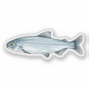 Sockeye Lmon Smolt Aufkleber