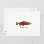 Sockeye - Roter Lachs (mit Titel) Postkarte (Vorne/Hinten)