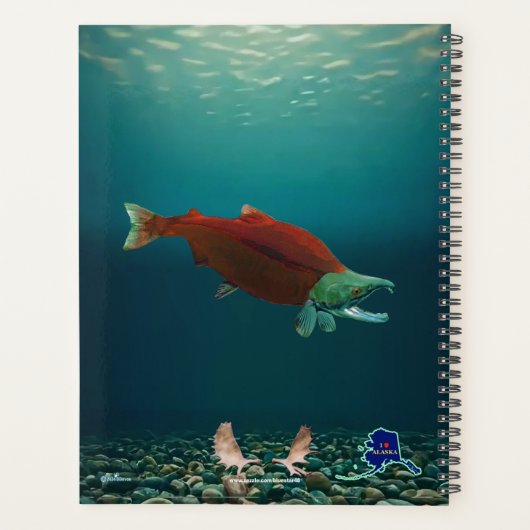 Sockeye Salmon - Alaska Postage Planer (Rückseite)