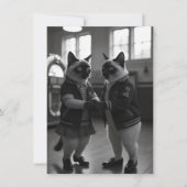 SockHop-Kätzchen (Vorderseite)