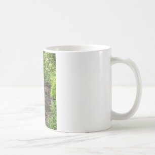 Soco Fälle Kaffeetasse