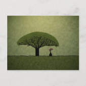 Socotra Postkarte (Vorderseite)