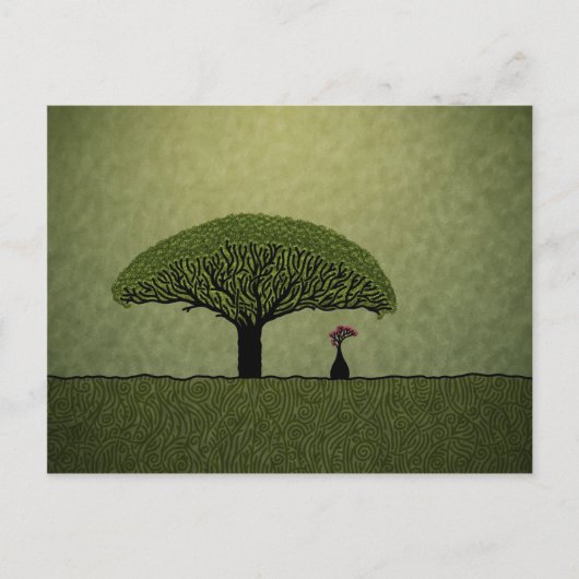 Socotra Postkarte (Vorderseite)