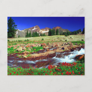 Soda Creek im Deschutes National Forest Foto Postkarte
