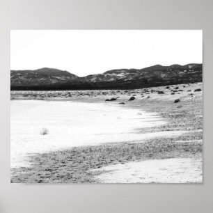 Soda Lake Carrizo Schlicht California Poster