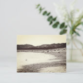 Soda Lake Carrizo Schlicht California Postkarte (Stehend Vorderseite)