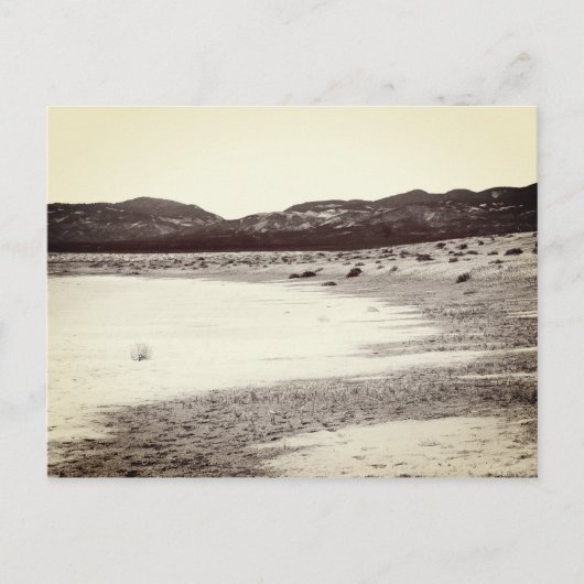 Soda Lake Carrizo Schlicht California Postkarte (Vorderseite)