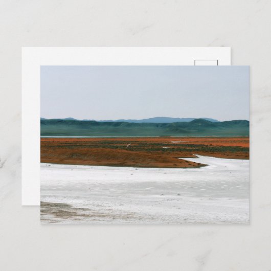 Soda Lake, Carrizo Schlichtes Nationaldenkmal CA Postkarte (Vorne/Hinten)