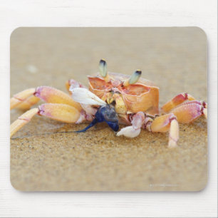 Sodwana Bay, Provinz KwaZulu Natal, Süden Mousepad