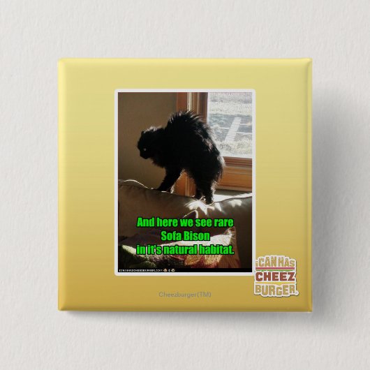 Sofa-Bison Button (Vorderseite)