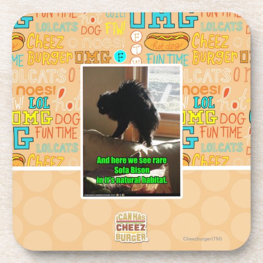 Sofa-Bison Getränkeuntersetzer (Vorderseite)