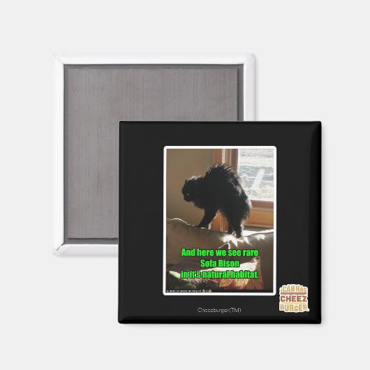 Sofa Bison Magnet (Vorderseite/Rückseite)