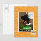 Sofa-Bison Postkarte (Vorne/Hinten)