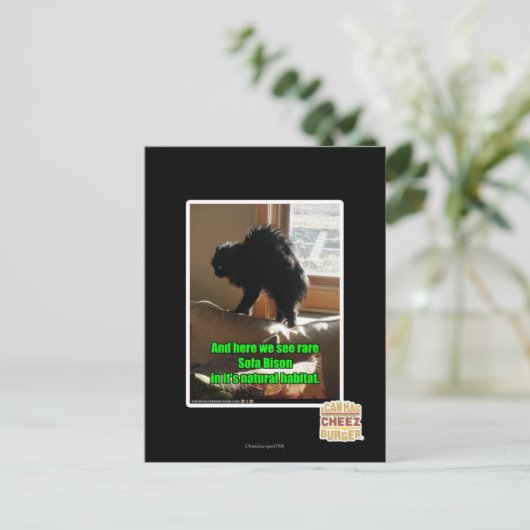 Sofa Bison Postkarte (Stehend Vorderseite)