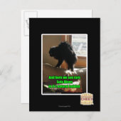 Sofa Bison Postkarte (Vorne/Hinten)