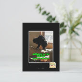 Sofa Bison Postkarte (Stehend Vorderseite)