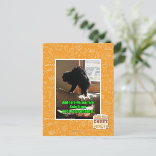 Sofa Bison Postkarte (Stehend Vorderseite)