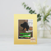 Sofa Bison Postkarte (Stehend Vorderseite)