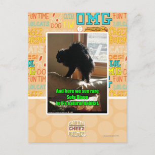 Sofa Bison Postkarte