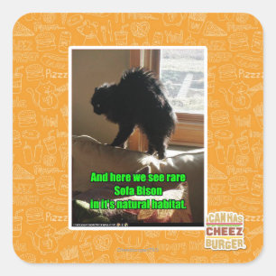 Sofa Bison Quadratischer Aufkleber