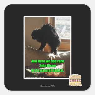 Sofa-Bison Quadratischer Aufkleber