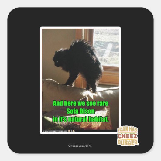 Sofa Bison Quadratischer Aufkleber (Vorderseite)
