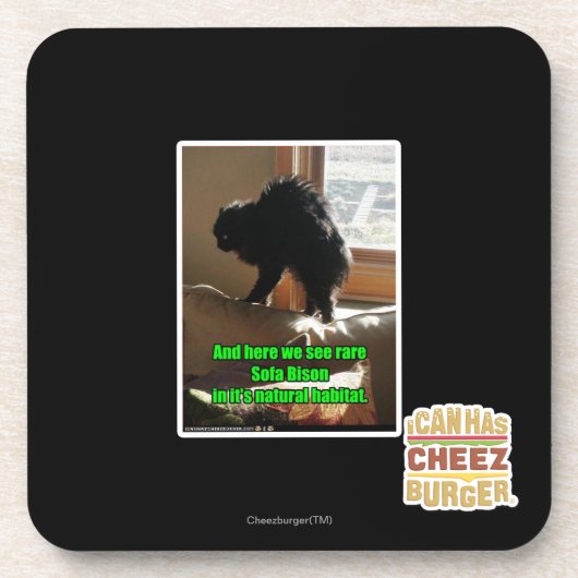 Sofa-Bison Untersetzer (Vorderseite)