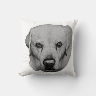 Sofa Guardian, Sofas Kissen