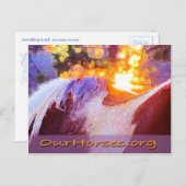 Sofi-Rückseite Postkarte (Vorne/Hinten)