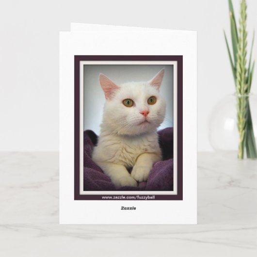 Sofia Happy Birthday White Cat Card Karte (Rückseite)