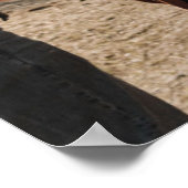 SOFIA Modernes Foto-Seekarten-Template Poster (Ecke)