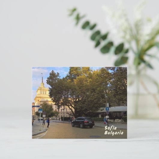 Sofia Postkarte (Stehend Vorderseite)