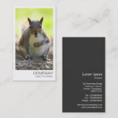 Sofortiges Foto - Eichhörnchen Visitenkarte (Vorne/Hinten)