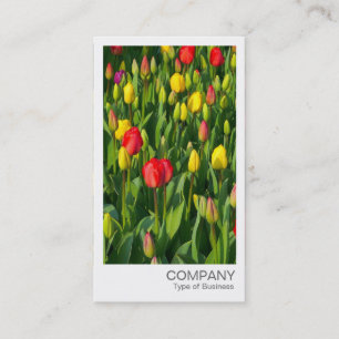 Sofortiges Foto - farbenfrohe Tulpen Visitenkarte