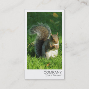 Sofortiges Foto - Graues Eichhörnchen Visitenkarte