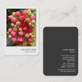 Sofortiges Foto - Kalanchoe-Blume und -Buds Visitenkarte (Vorne/Hinten)
