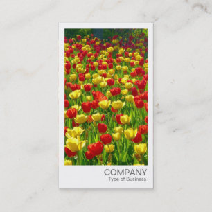 Sofortiges Foto - Rote und gelbe Tulpen Visitenkarte