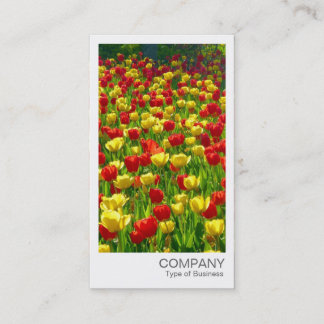 Sofortiges Foto - Rote und gelbe Tulpen Visitenkarte