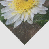 Soft and Dreamy Daisy Seidenpapier (Detail)