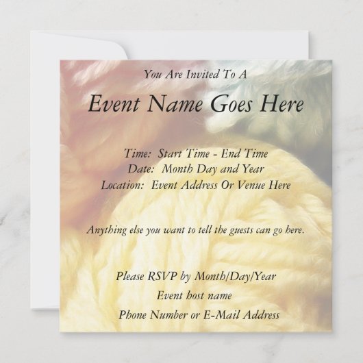 Soft Balls aus Garnen Einladung (Vorderseite)