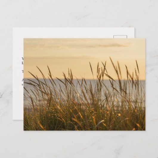 Soft beach grass, uplifting light message postkarte (Vorne/Hinten)