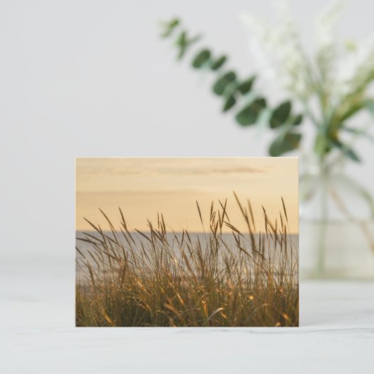 Soft beach grass, uplifting light message postkarte (Stehend Vorderseite)