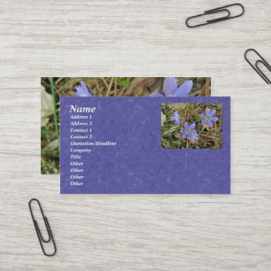 Soft Blue Hepatica Business Card Visitenkarte
