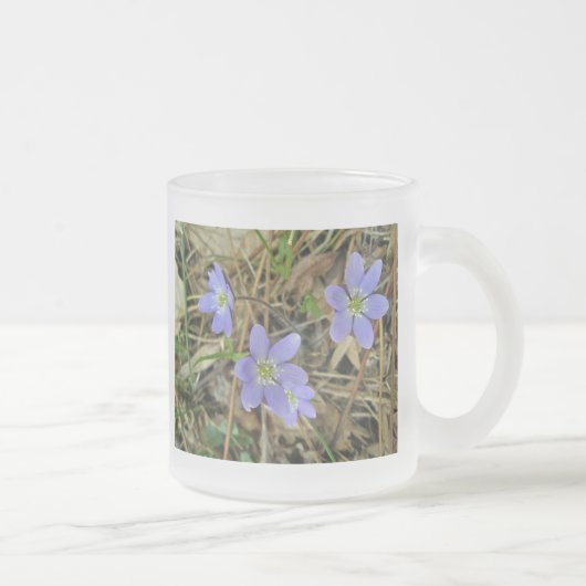 Soft Blue Hepatica Wildblume Serie Mattglastasse (Rechts)