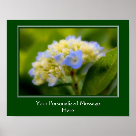 Soft Blue Hydrangea Blume Personalisiert Poster (Vorne)