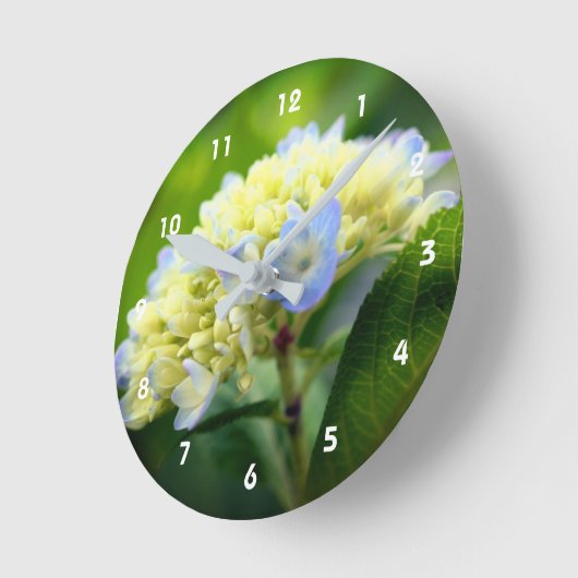 Soft Blue Hydrangea Blume Runde Wanduhr (Winkel)